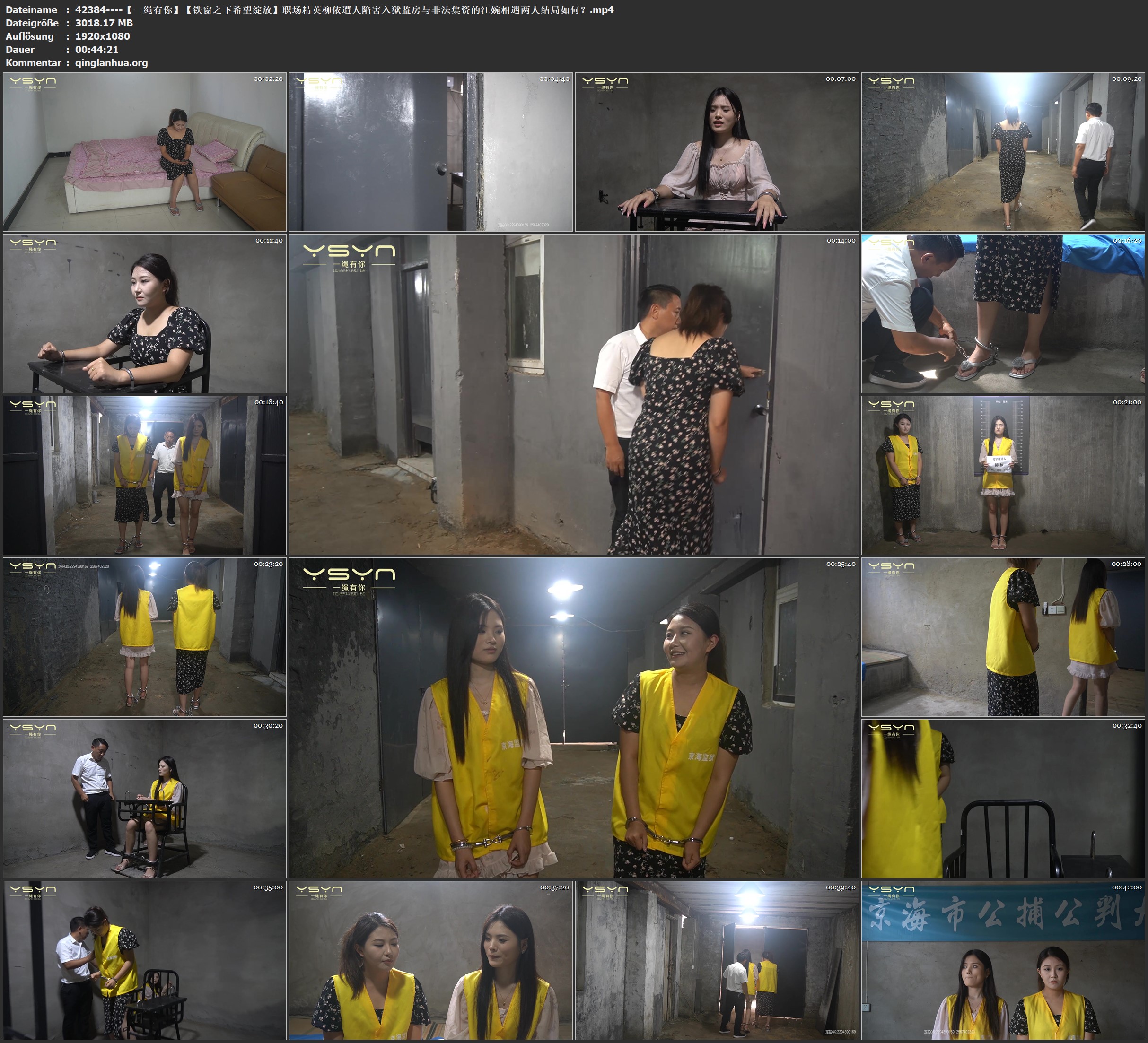 42384----【一绳有你】【铁窗之下希望绽放】职场精英柳依遭人陷害入狱监房与非法集资.jpg