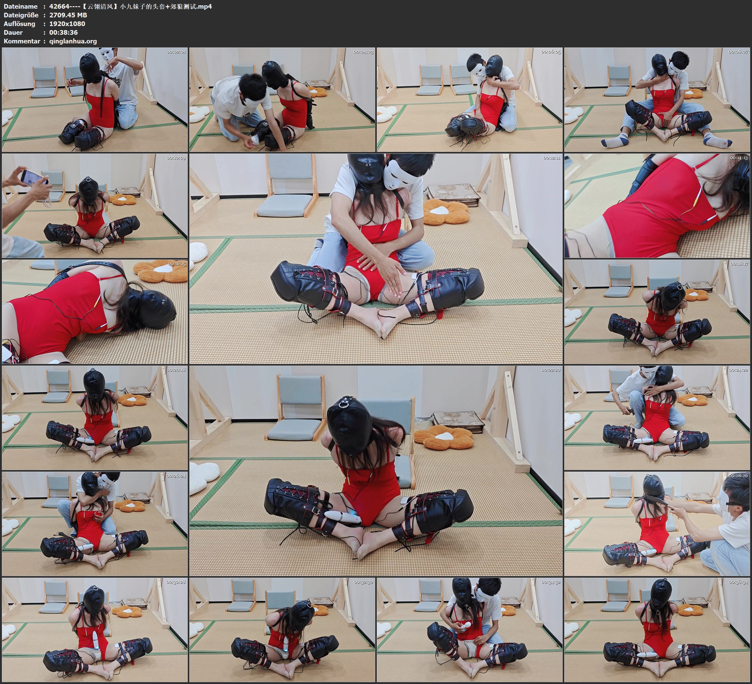 42664----【云翎清风】小九妹子的头套 郊狼测试.jpg