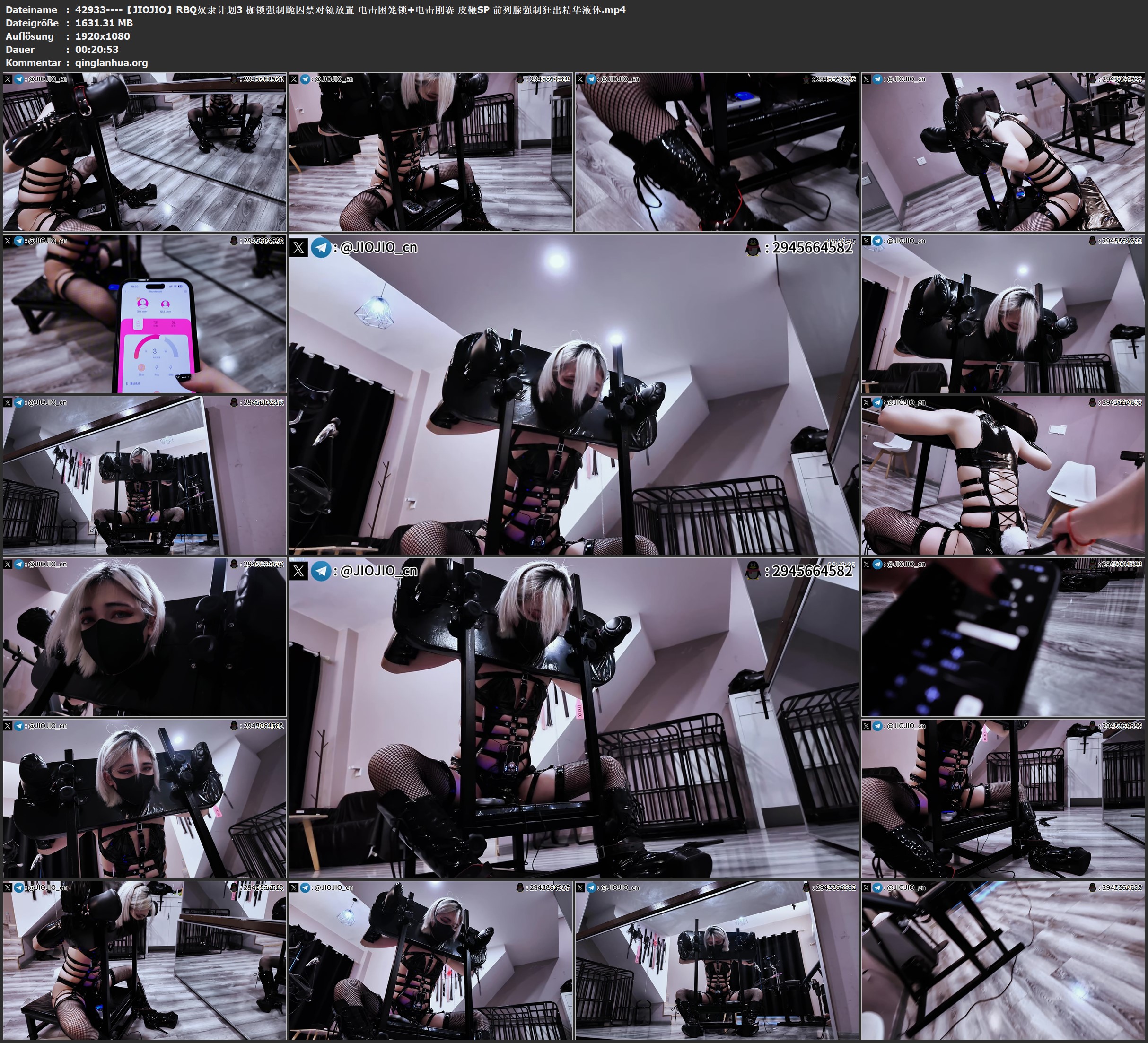 42933----【JIOJIO】RBQ奴隶计划3 枷锁强制跪囚禁对镜放置 电击困笼锁 电击刚赛 皮鞭S.jpg