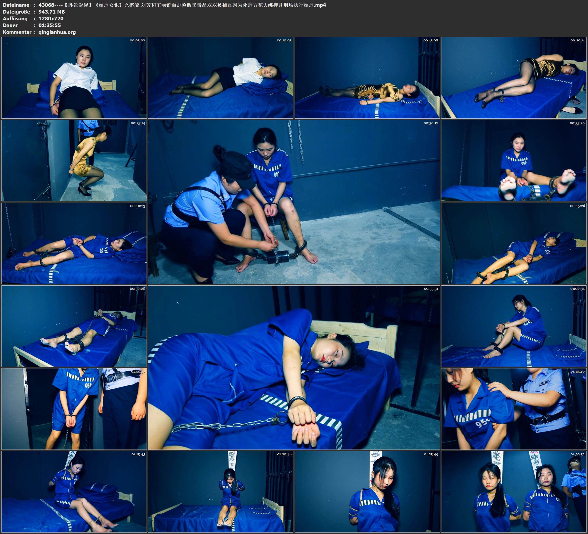 43068----【胜景影视】《绞刑女犯》完整版 刘芳和王丽铤而走险贩卖毒品双双被捕宣判为.jpg