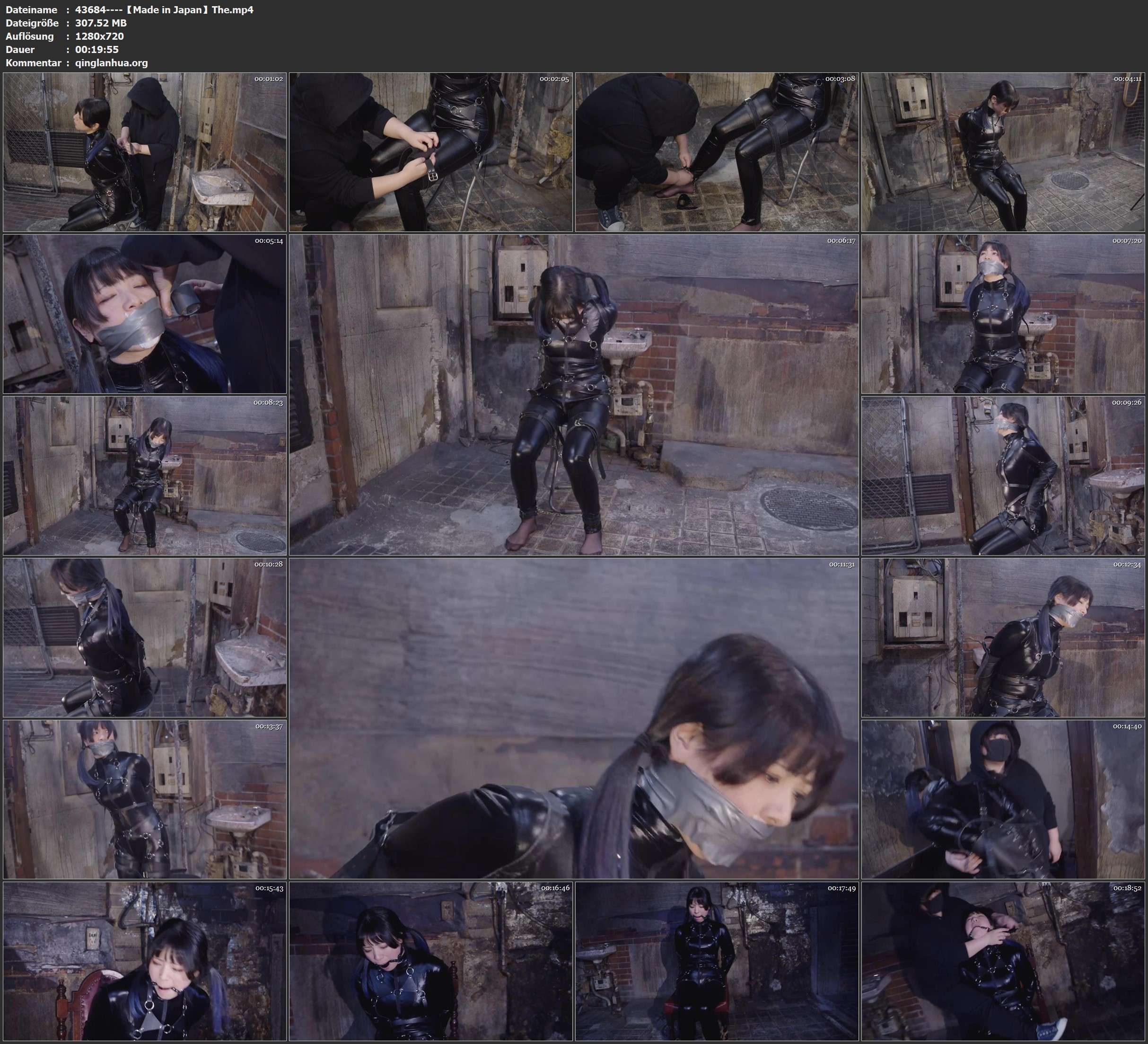 43684----【Made in Japan】The.jpg