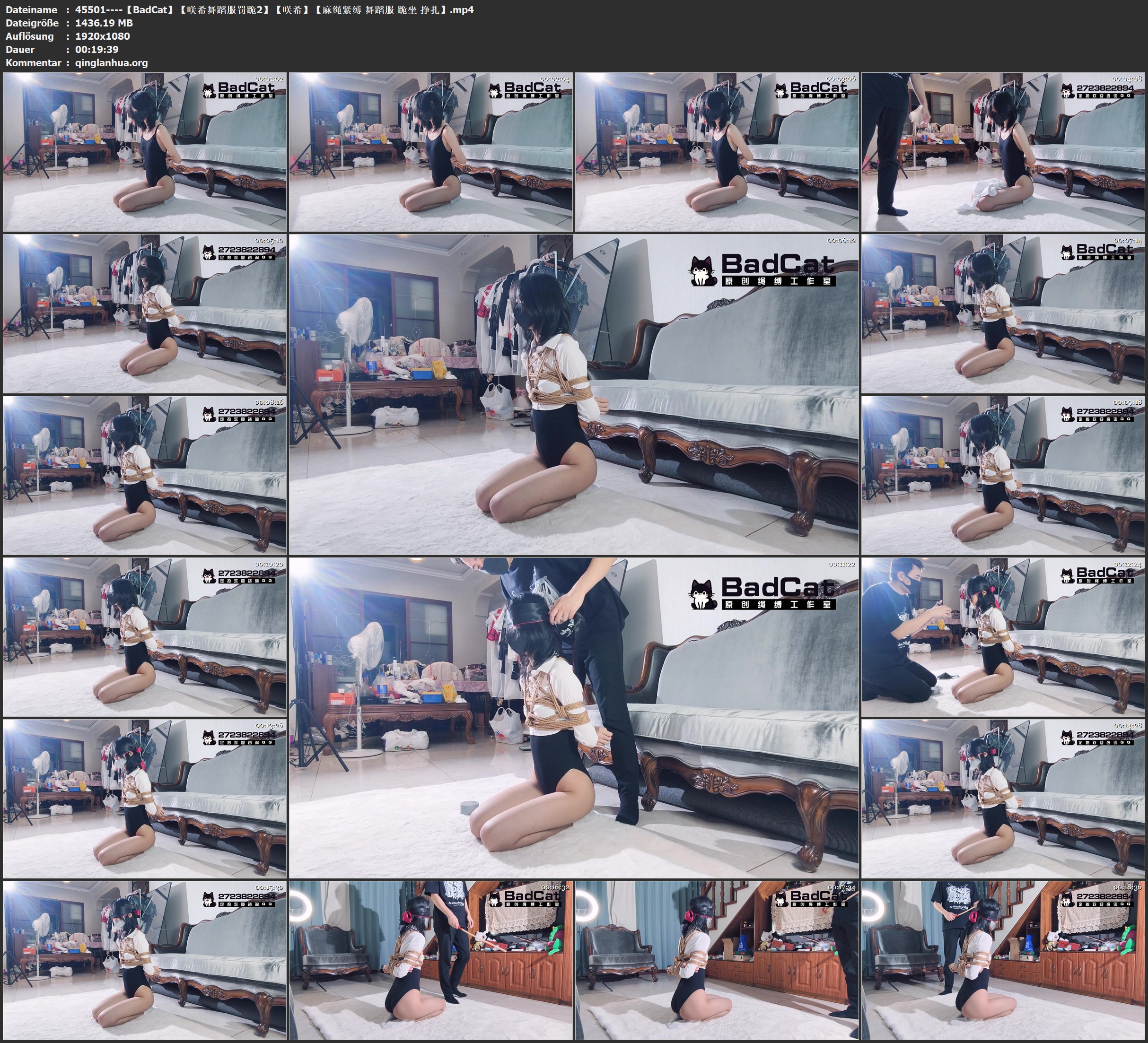 45501----【BadCat】【咲希舞蹈服罚跪2】【咲希】【麻绳紧缚 舞蹈服 跪坐 挣扎】.jpg