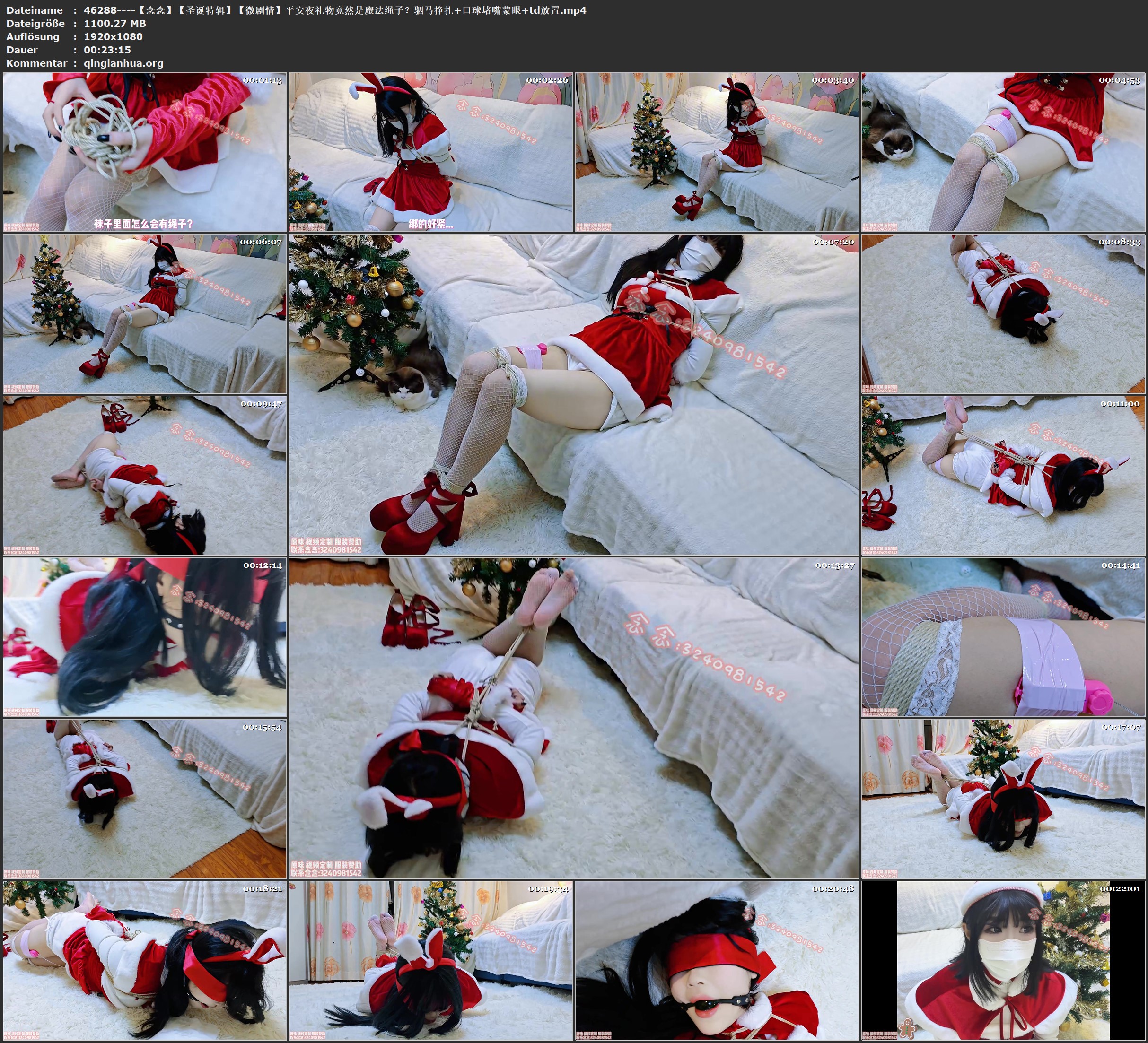 46288----【念念】【圣诞特辑】【微剧情】平安夜礼物竟然是魔法绳子？驷马挣扎 口球堵.jpg