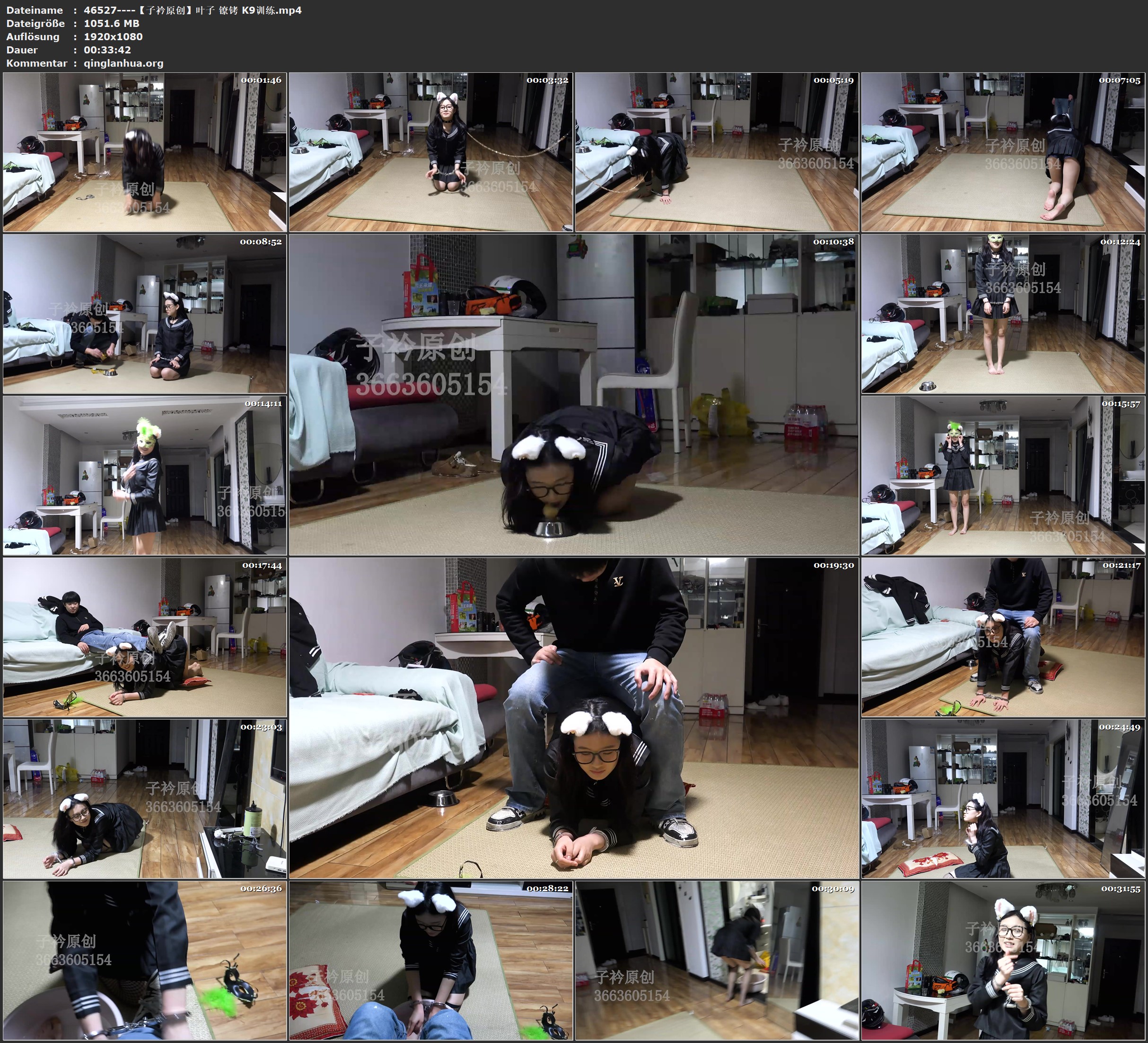 46527----【子衿原创】叶子 镣铐 K9训练.jpg