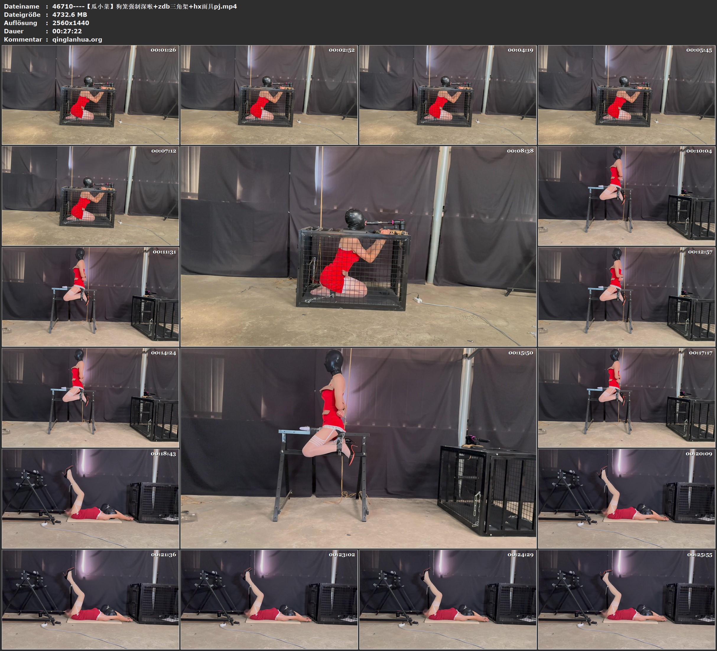 46710----【瓜小菜】狗笼强制深喉 zdb三角架 hx面具pj.jpg