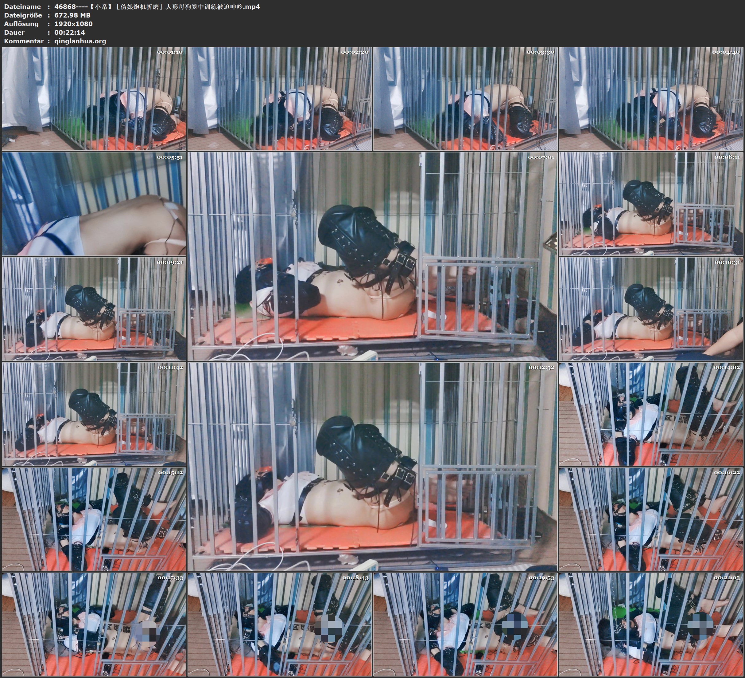 46868----【小系】［伪娘炮机折磨］人形母狗笼中训练被迫呻吟.jpg