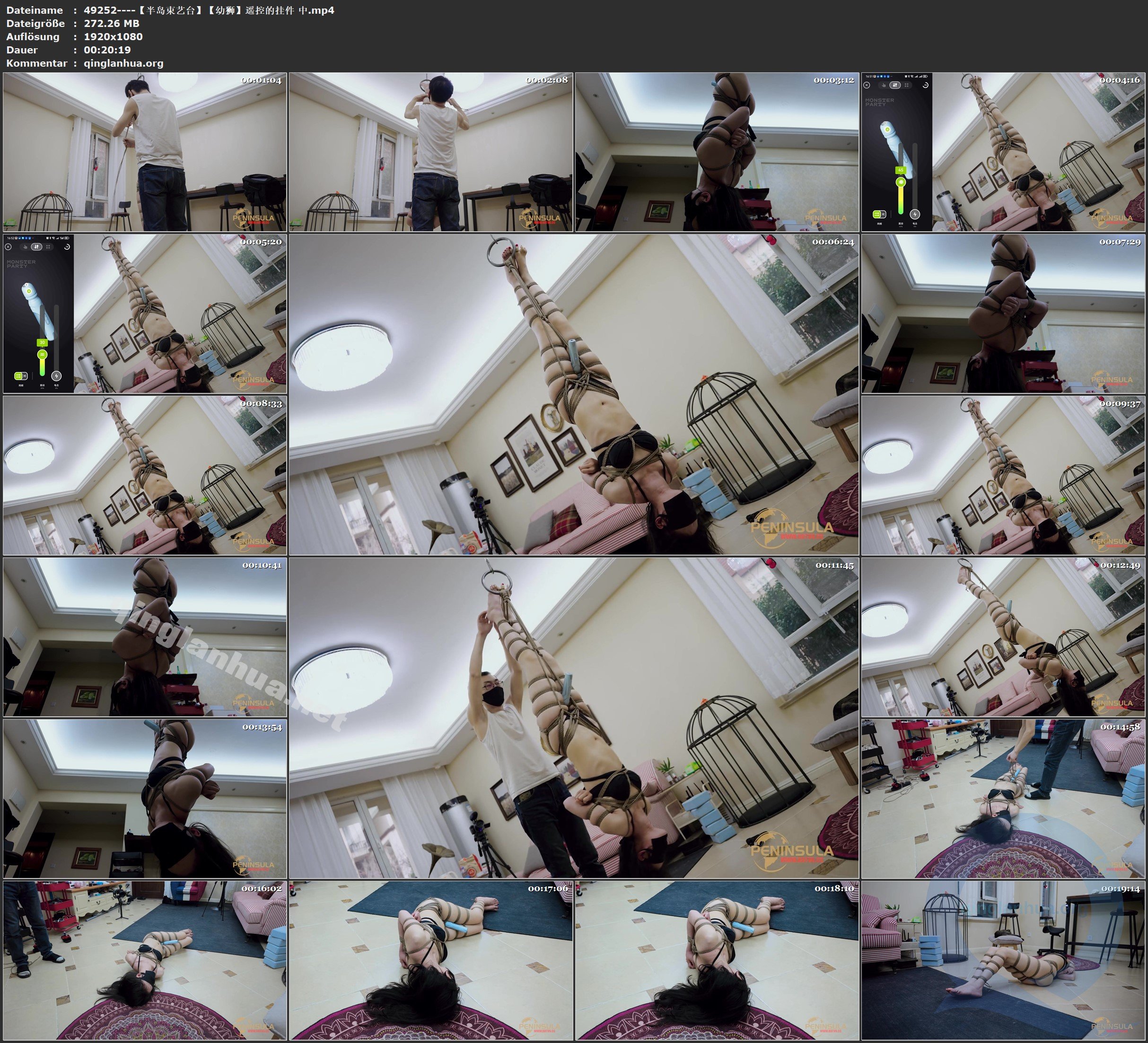 49252----【半岛束艺台】【幼狮】遥控的挂件 中.jpg