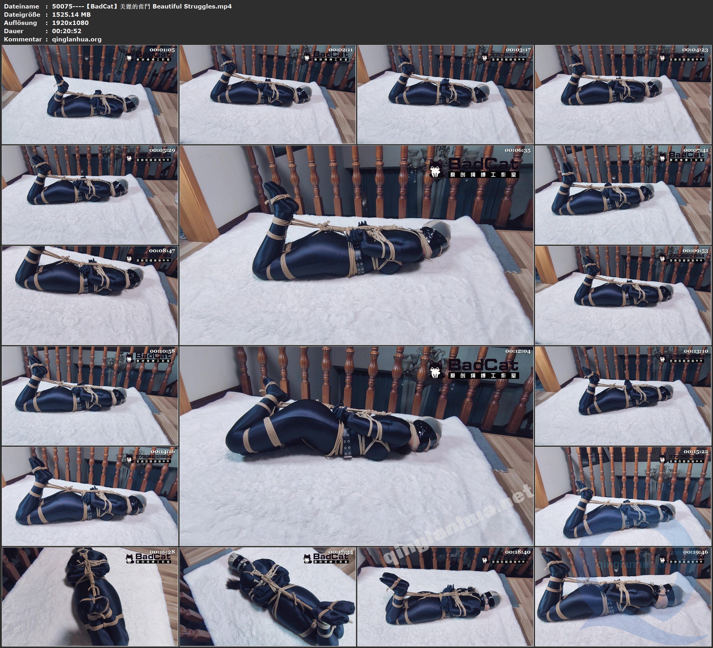 50075----【BadCat】美麗的奮鬥 Beautiful Struggles.jpg