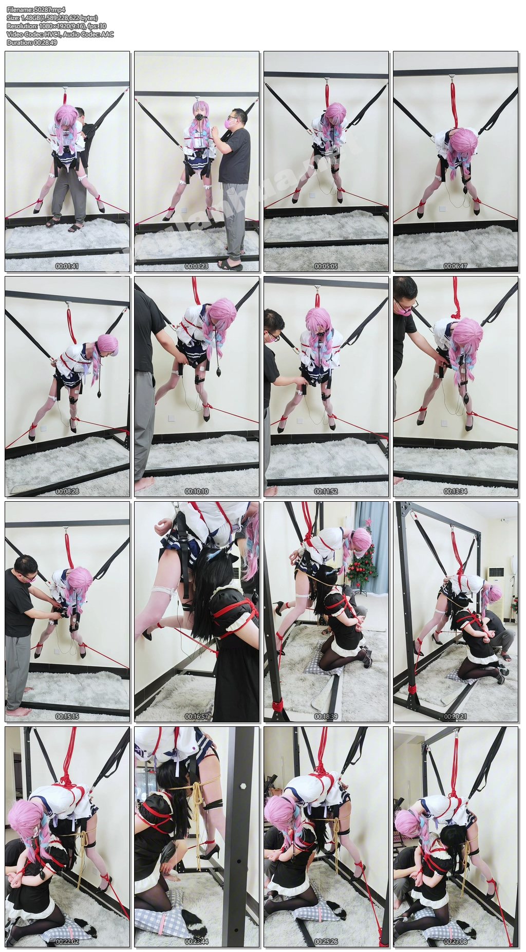 50287----【糖糖工作室】（双贱奴重口电击实录）吊缚充气口塞爆嘴狂扭   跪舔深喉，两.jpg