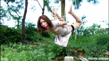 【clz原创】灵粒的第一次驷马吊，野外篇