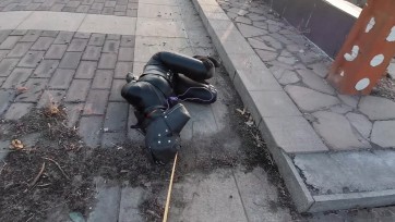 【HD飞天原创】疫情闯关，非常时期提心吊胆地完成了K9野外调教