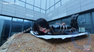 【半岛束艺台】【波雅】最后的人类