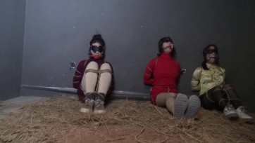 【胜景影视】连续剧《落难姐妹》第十七集 下集