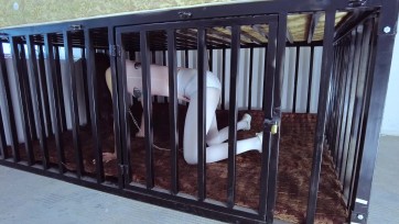 【樱束原创】《汐洛被罚》圈养奴汐洛最近没怎么出来放风脾气见长把主人给惹生气了！看主人怎么惩罚驯养她！直臂吊缚，绳子绑膝盖K9开腿！最难受的姿势教训她站的脚打抖折磨的眼泪直流