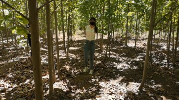 【束缘阁】杨蕊 牛仔裤 长腿 黄河边的五花 林荫小路拖撩行走