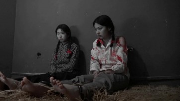 【胜景影视】新片《血映红梅》 下集 王梅和她的同志被敌人严刑拷打，最后被残忍杀害