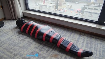 【倔强】小舞全包定拍