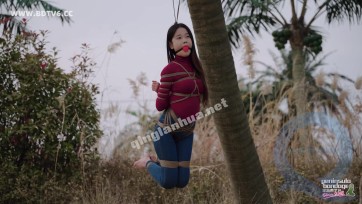 【半岛束艺台】【星眠】冬天的椰子树