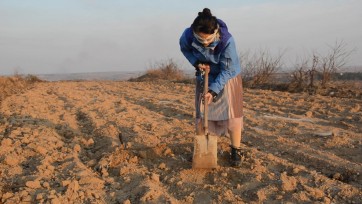 【束之高阁】采桑野外劳改，束之高阁是山东一间体验囚禁捆绑拷打牢笼木枷审讯关押变装等