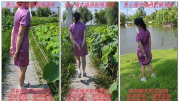 【束心工作室】兰兰紫色短旗袍，带手拷游荷花池，荷花池蝉鸣，杨柳枝条飘拂，微风徐徐