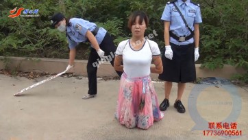 【雅俗阁】押解执行·雅妮