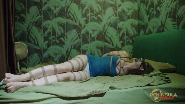 【半岛束艺台】【蓝鲸】开局一头鲸