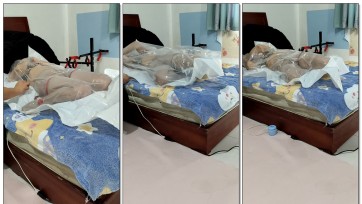 【磊哥原创】逃跑失败的骚奴狗被窒息晕厥