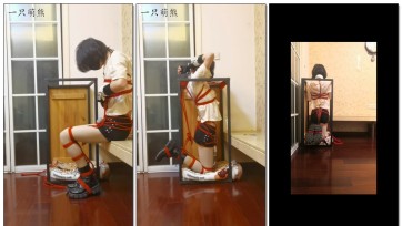 【一只萌熊】固定在桌子里的肛钩并腿自缚放置