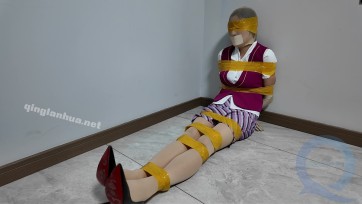 【李大侠原创】绑架空姐佳佳佳佳