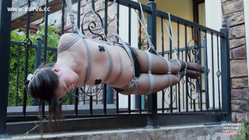 【半岛束艺台】【波雅】我还是栏杆的一部分